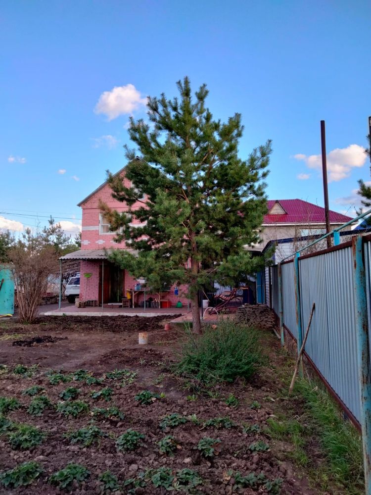 Дача в районе Асан. 9 соток