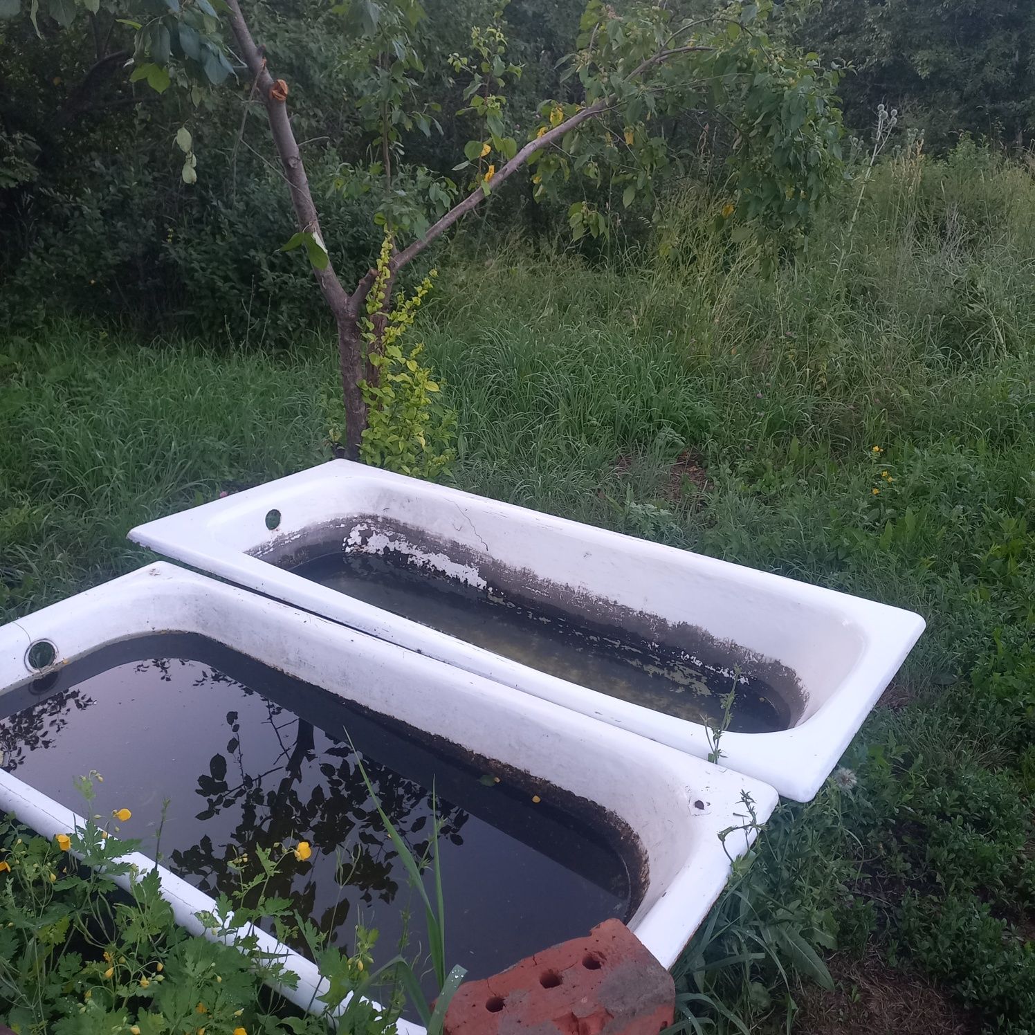 Продам  дом в Самсоновке на берегу речки.