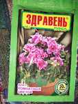 Цветы домашние  - адаптированные
