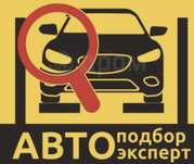 Автоэксперт Автоподбор Проверка авто машин толщиномер Эксперт Эндоскоп