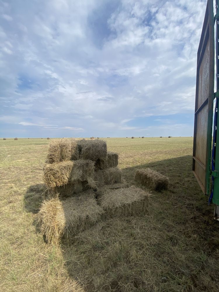 Продам сено в тюках