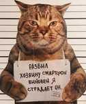 Ремонт телефонов! Качественно и недорого!
