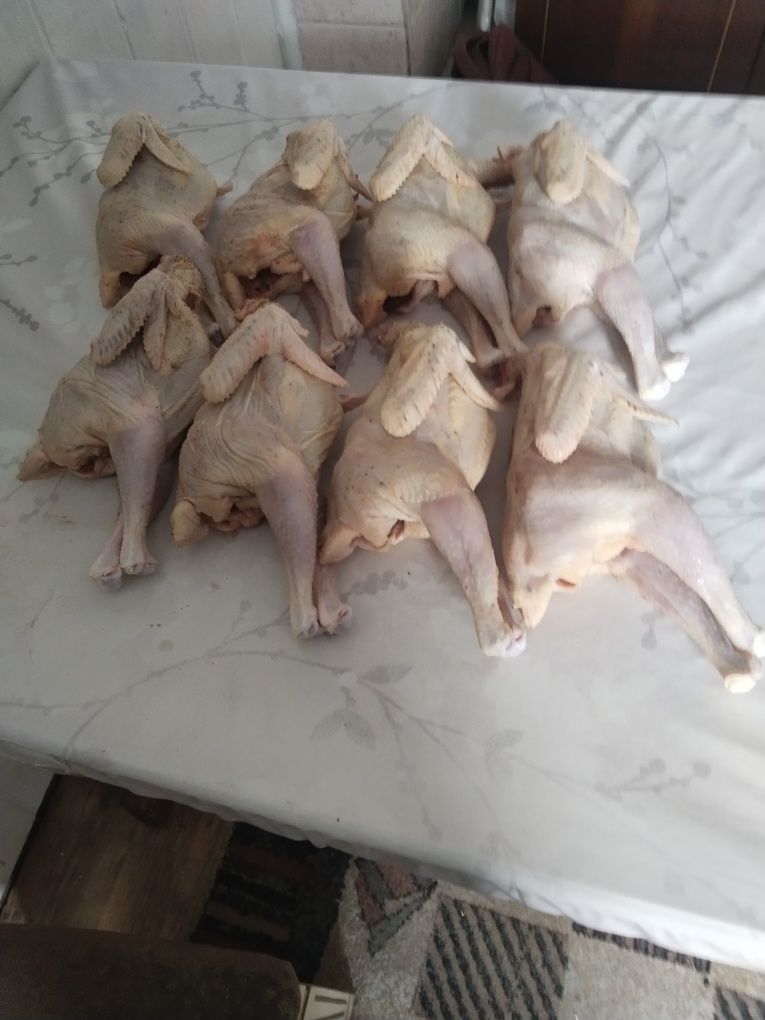 Продам мясо домашних кур