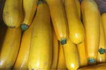 Продам домашние кабачки.