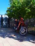 Продам мопед Honda Phoenix 110см³