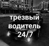 Трезвый водитель