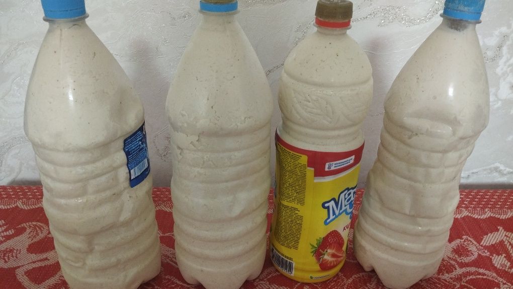 Курт для сорпы..