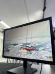 Монитор LG 24 МК 430 Н-В