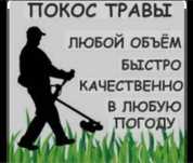 Покос травы косим траву тримемером не дорого выезд павлодар