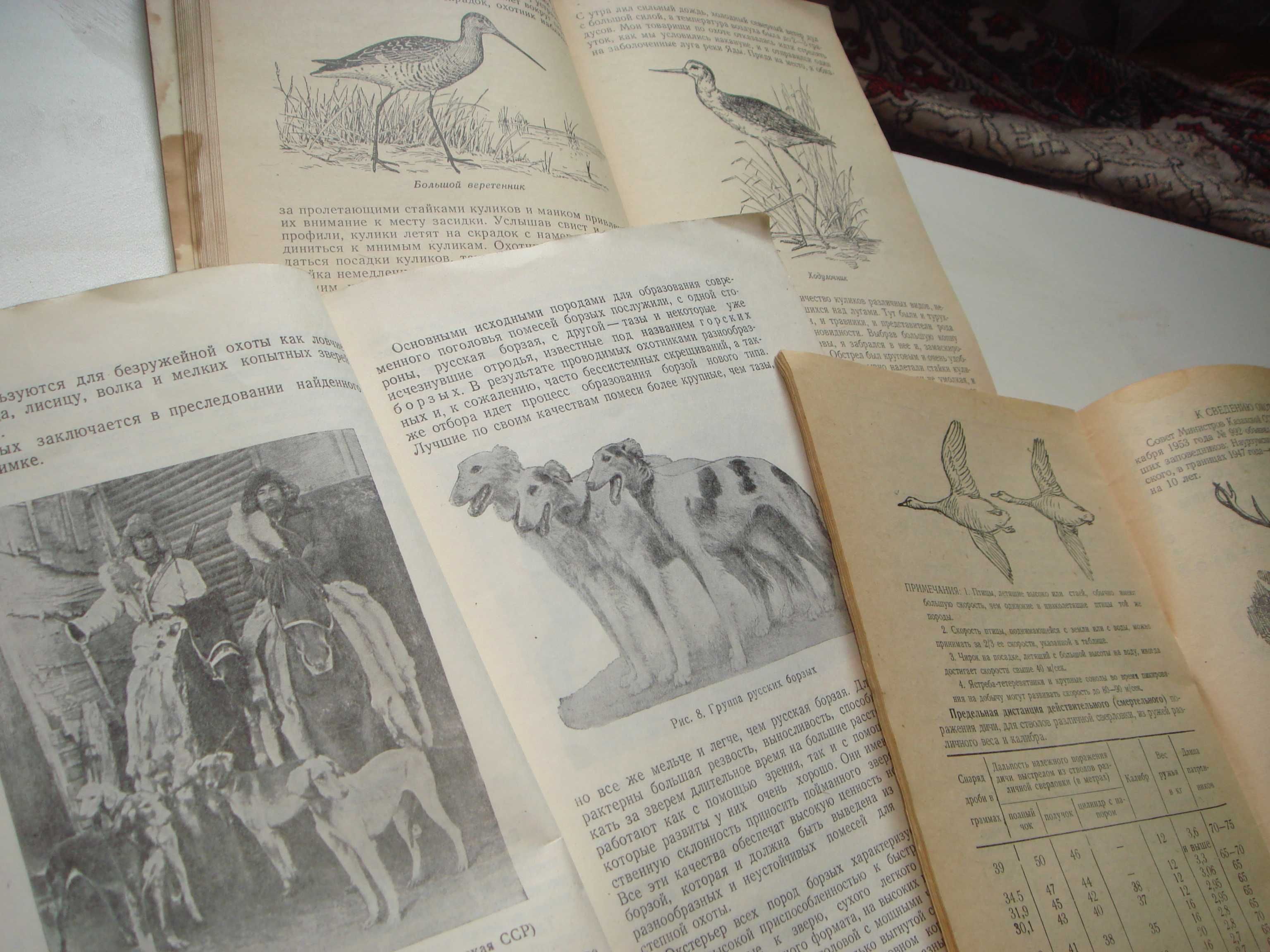 Редкие Книги Каз ССР по охоте и разведению собак 1951 года