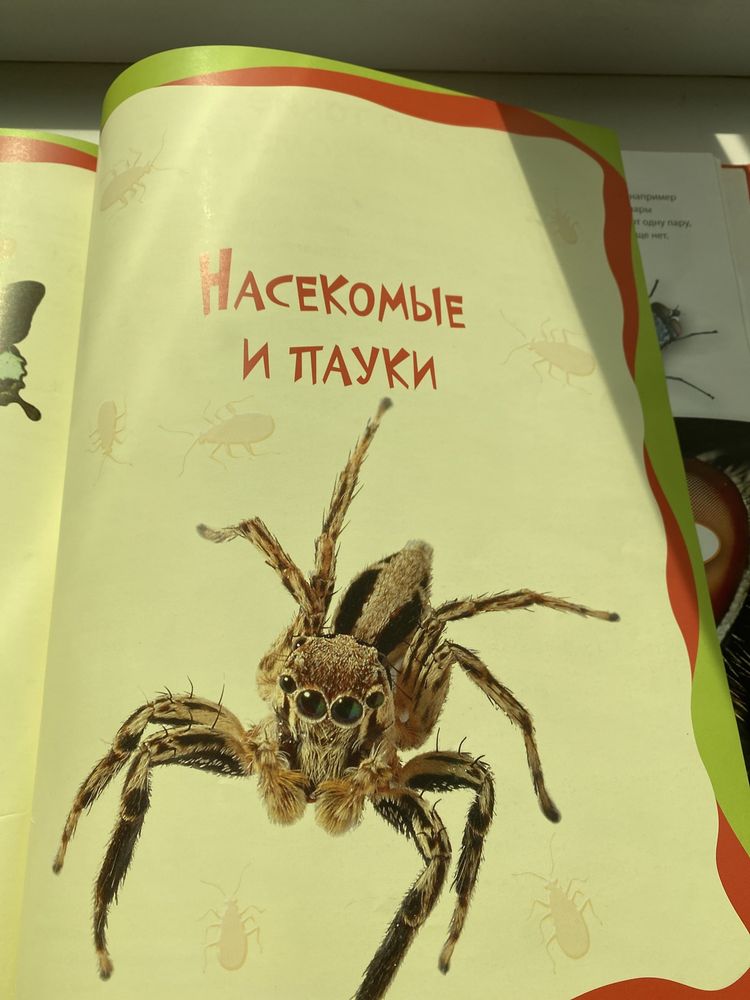 Энциклопедия детская