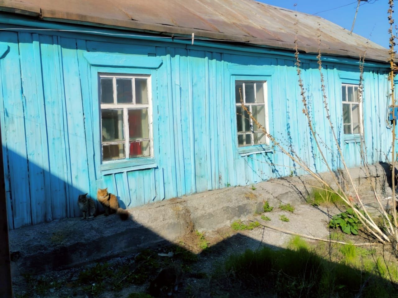 Продам дом 3-х комнатный дом в экологически чистом районе