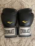 боксерские перчатки Everlast 10oz
