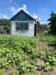 Продам или сдам в аренду дачу