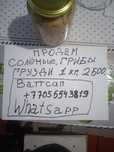 Грибы соленные 1111