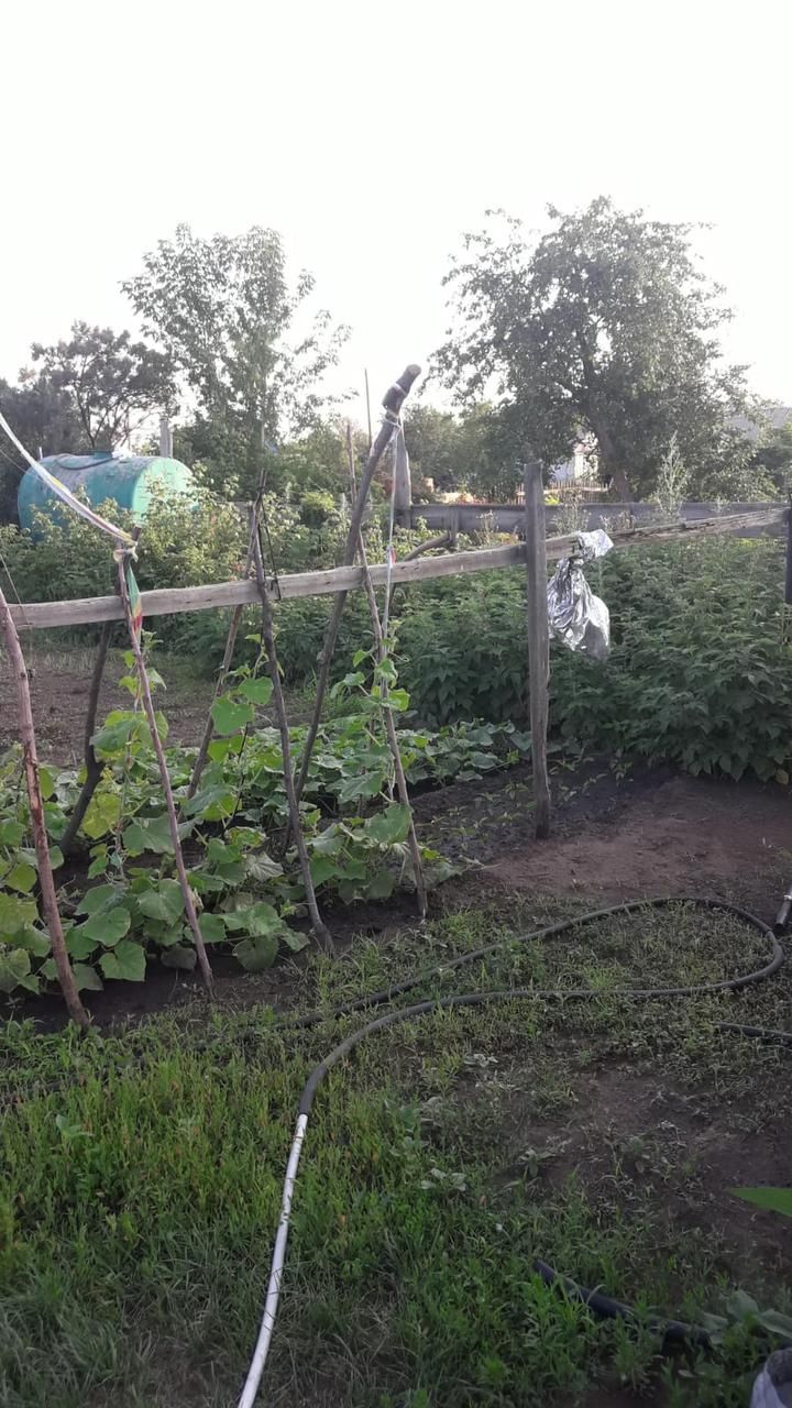 Продам дачи 2 шт сразу или по одному
