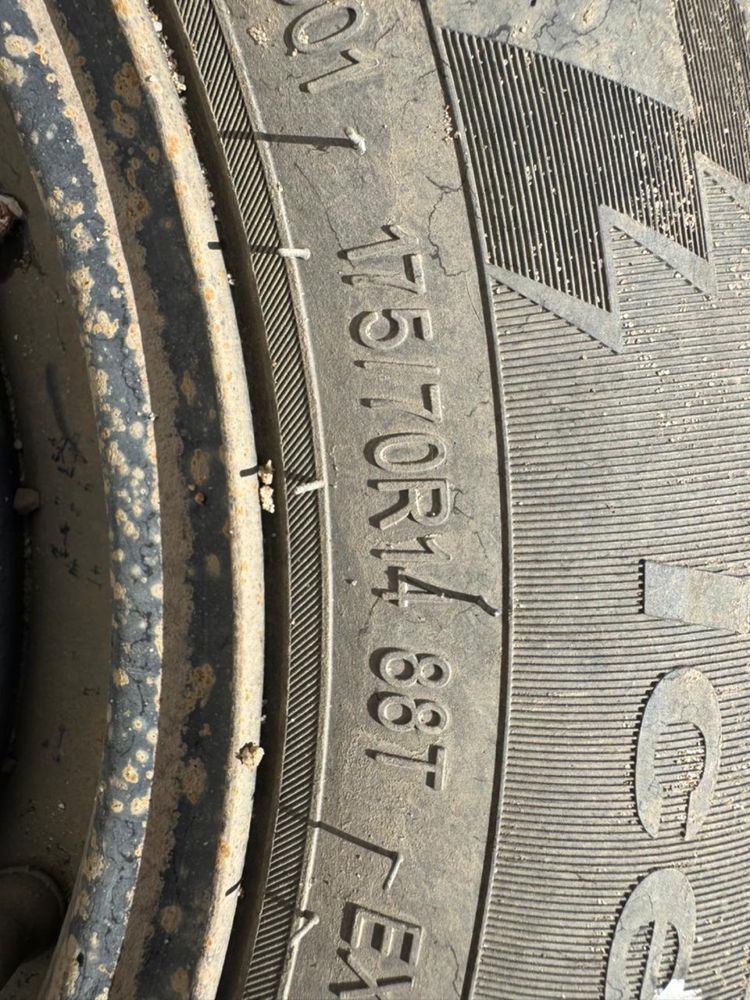 Срочно продам шины
