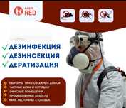 Дезинфекция клопов|Низкие цены |Гарантия результата |