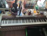 Цифровое пианино casio privia px-100