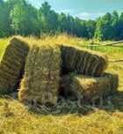 Продам клевер с поля