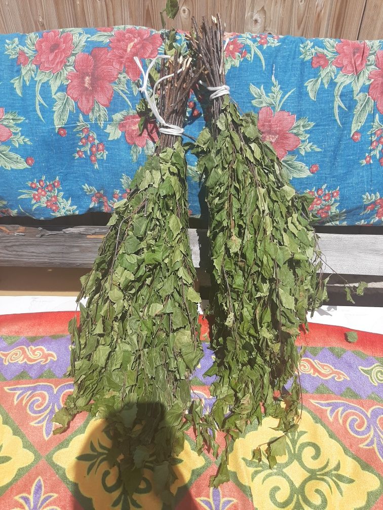 Продам веники берёзовые