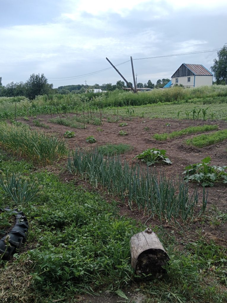 Продам дом. Село Бобровка. Ул. Пионерская 4.