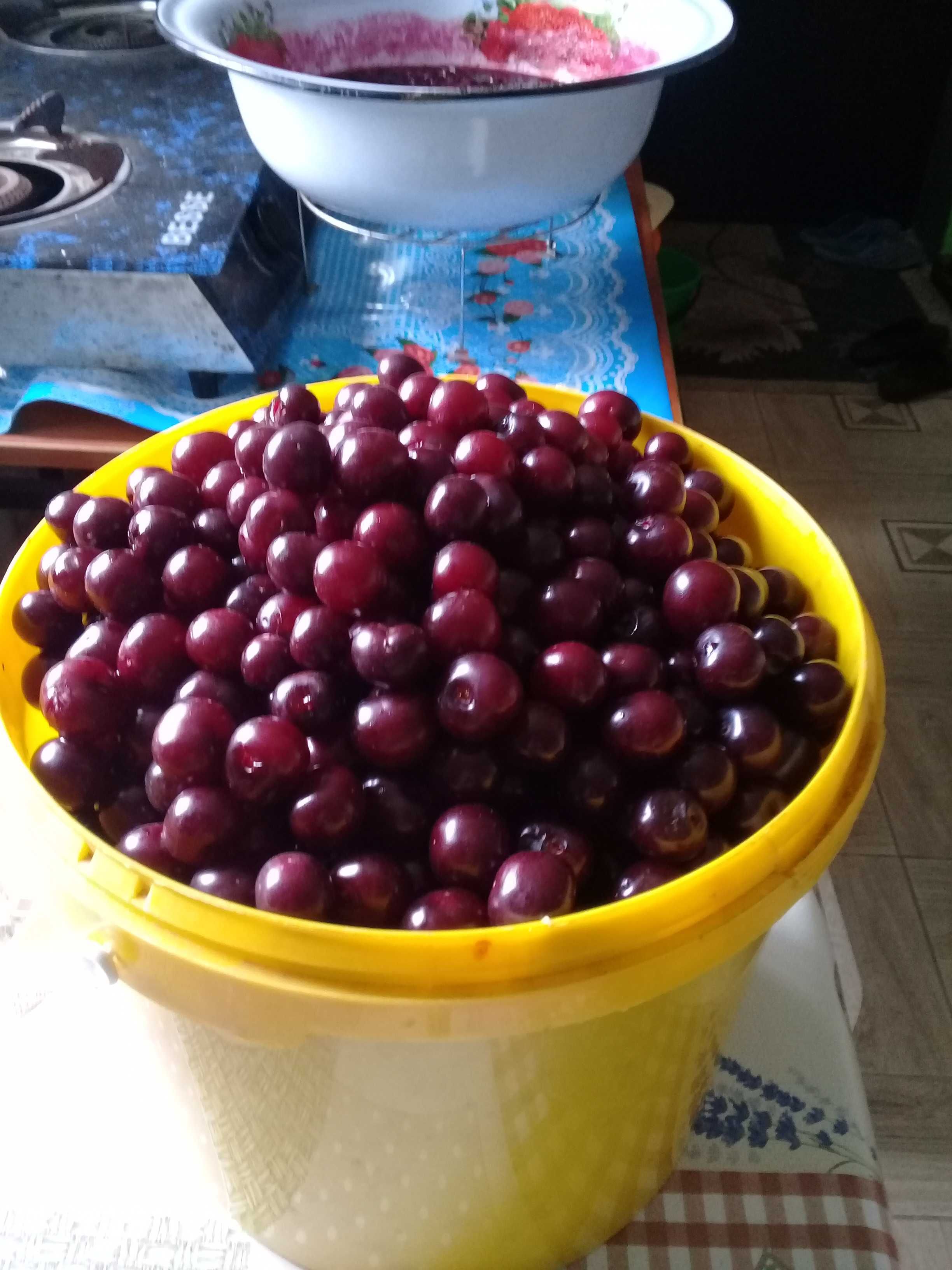 Продам садовую вишню- Есть свежая и замороженная