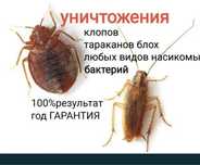Акция! 4000тг. Служба Дезинфекция, Дизенфекция, Дезинсекция!