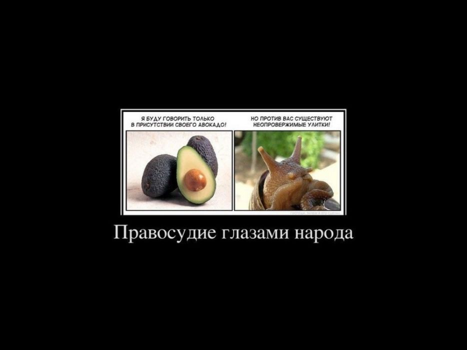 Адвокат/ юридические услуги