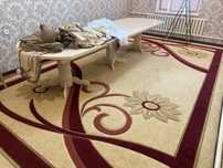 Ковры в хорошем состоянии большой 3,5 *6