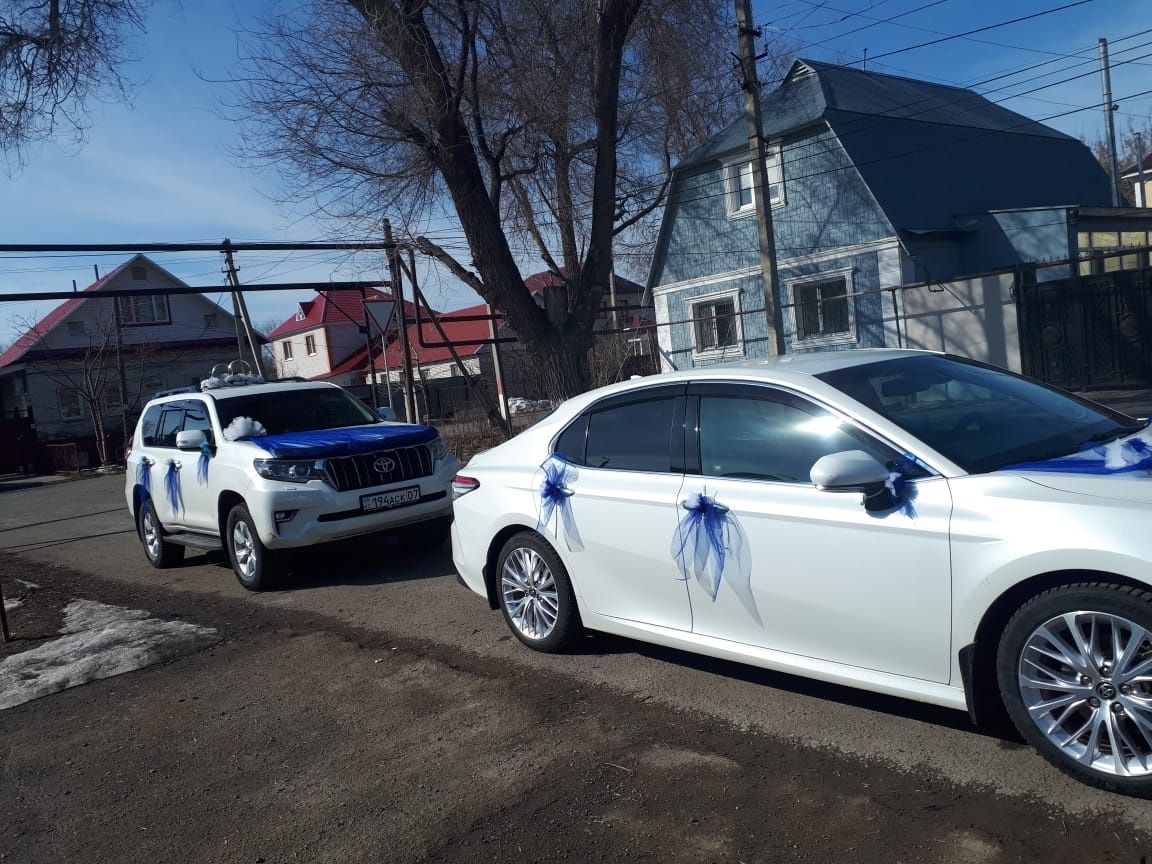 Той және Роддом машинасына оформление беріледі
