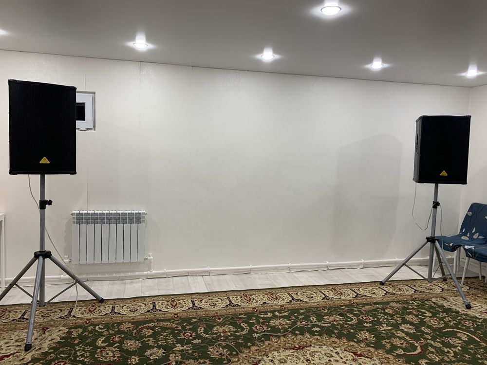 Калонка Behringer