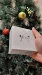 Apple Airpods Pro