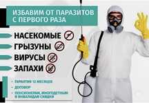 Уничтожение тараканов, клопов, крыс. Дезинфекция Дизифекция