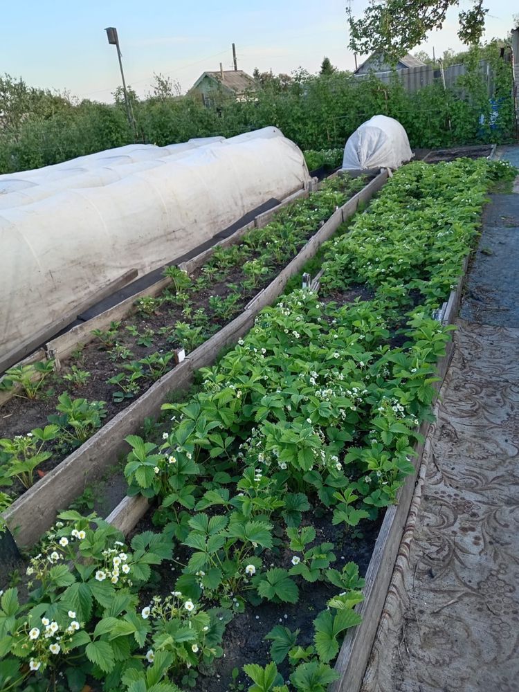 Продам дачу, 18 маршрут