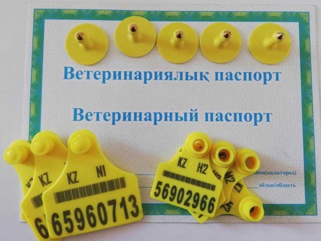 Жылқы, Бие, Ушные бирка, Малға Сырға, қой, Сйыр, Кой, Бұқа,Қошқар,