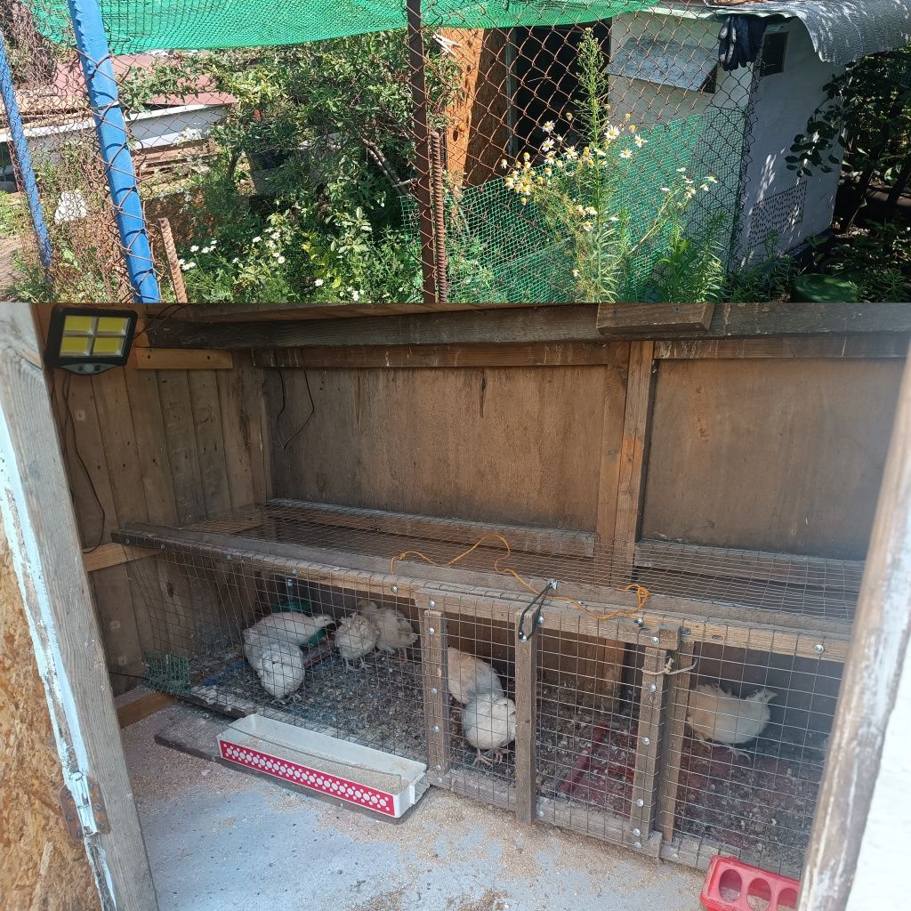 Продам дачу Сады 2, 13 квартал.