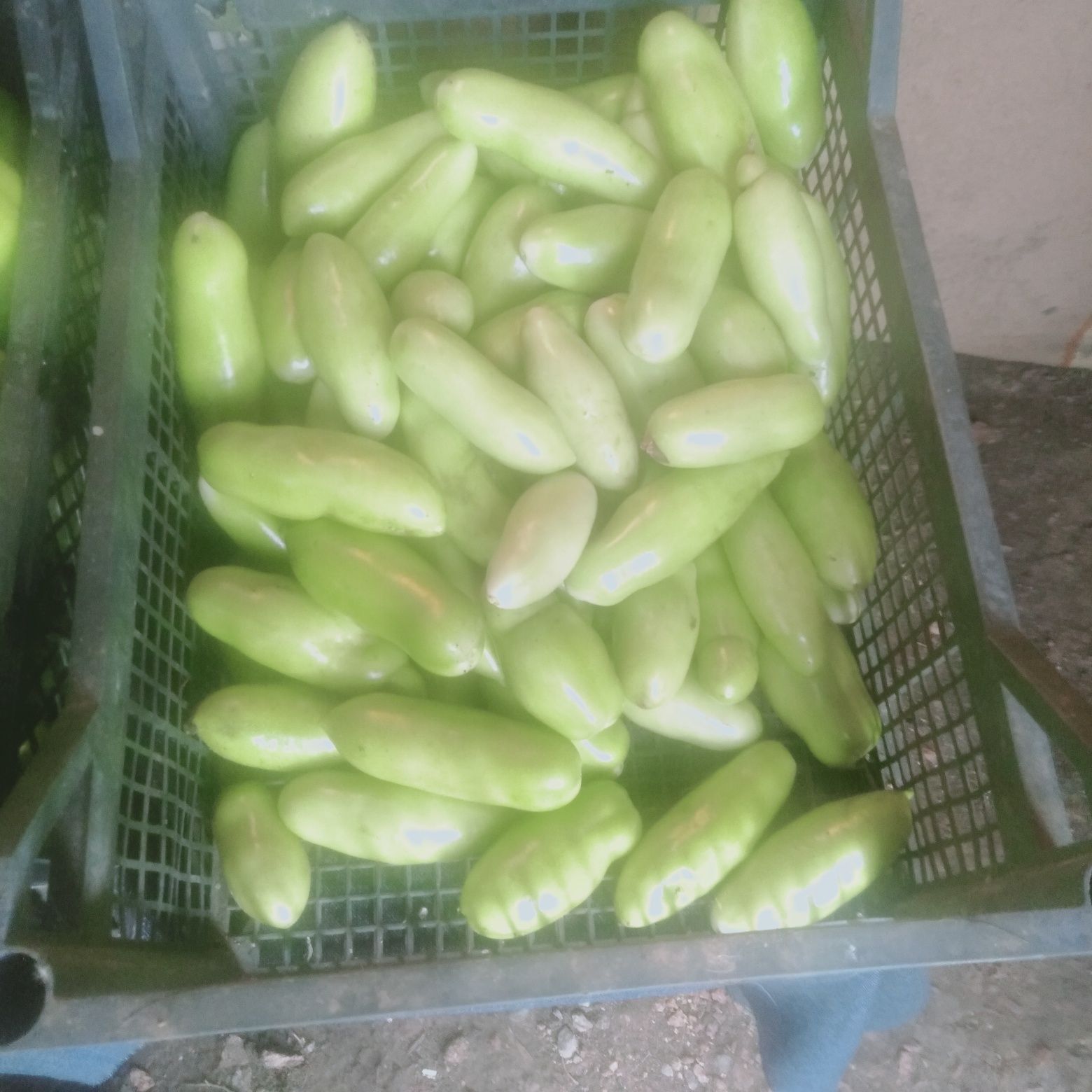Продам продам продам