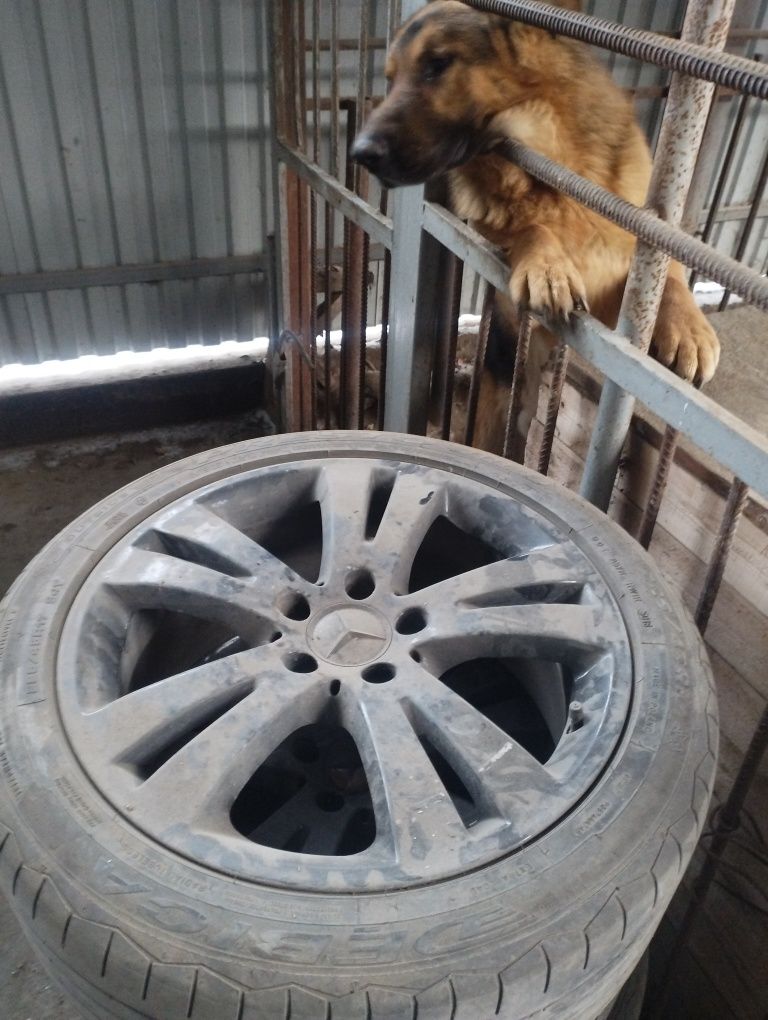 Диски на мерседес