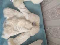 Продам шубку - манто, НОВАЯ, размер 140см. На девочку 5-6-7 лет.