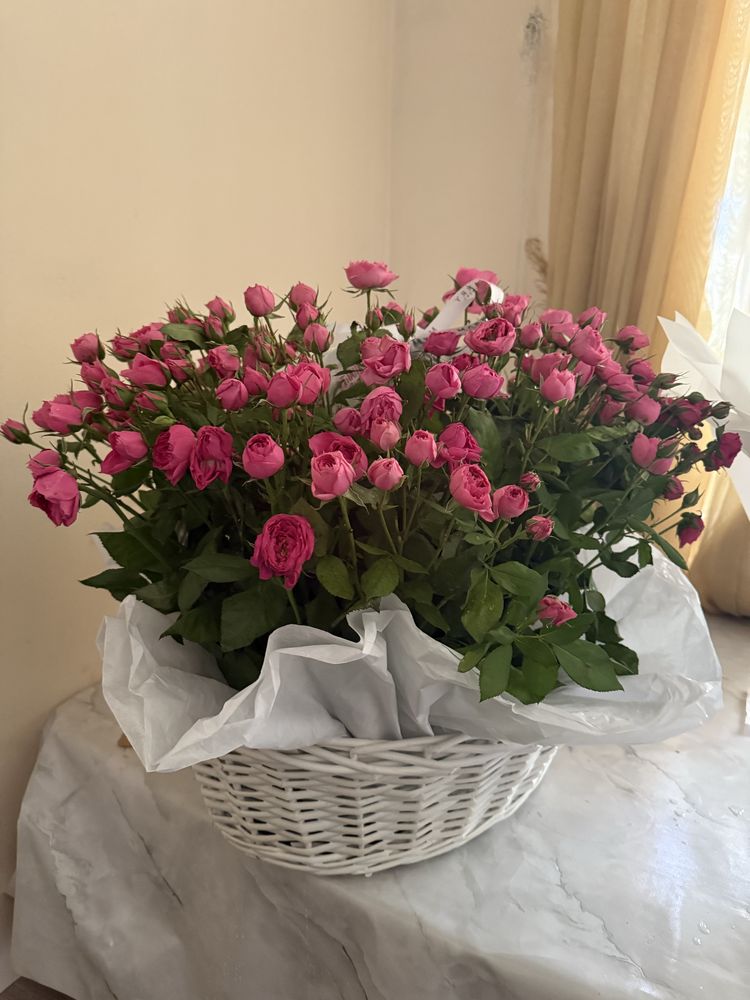 Продам цветы L размер