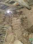 Таппи бесплатно самовывоз 100-150 шт
