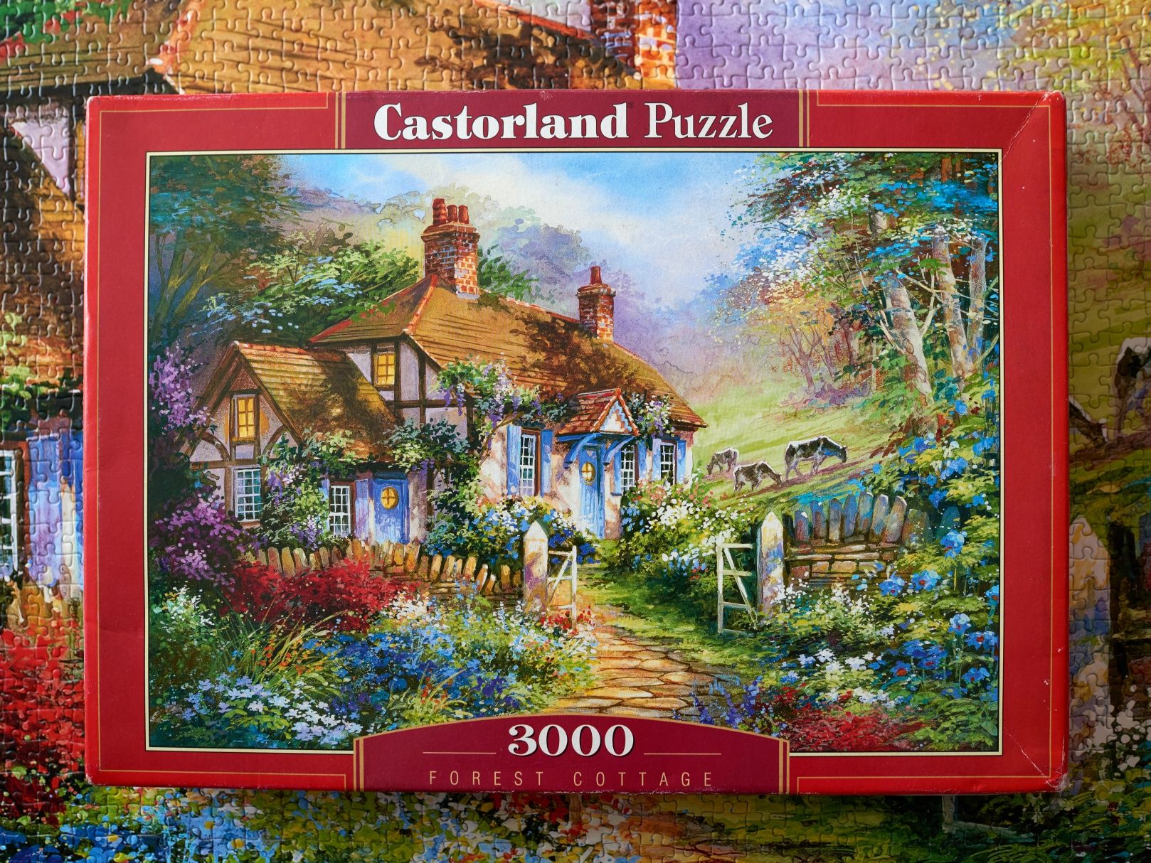Пазл Castorland 3000 элементов