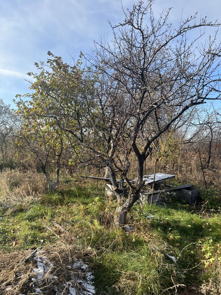 Продам дачу на союзе в хорошем состоянии. С круглосуточной охраной.