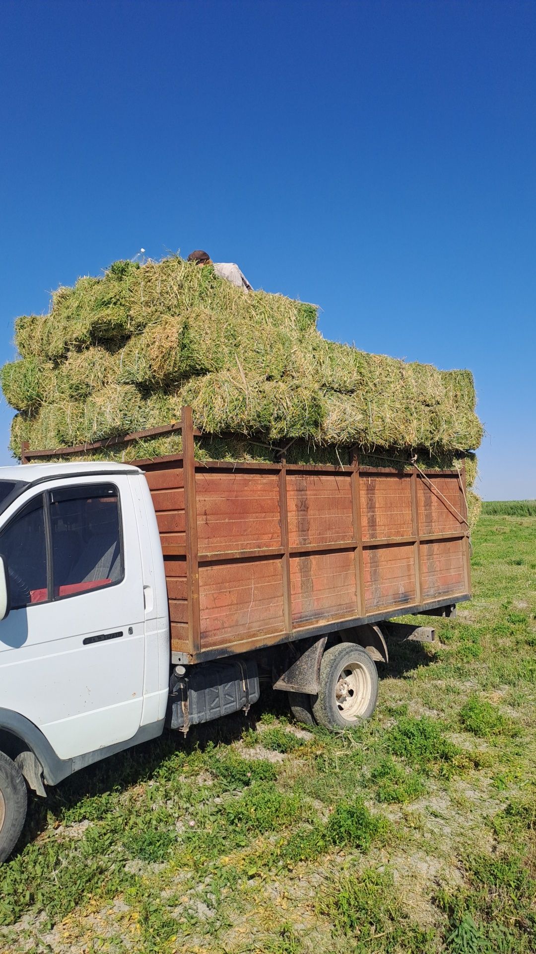 Жоңышқа пресс бар 1орым