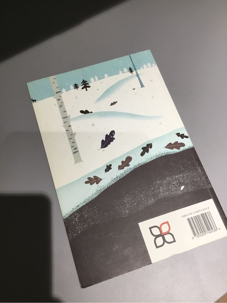 Книга для ребенка 3 4 5 лет на снегу и под снегом кейт Месснер подарок