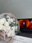Macbook air ноутбук