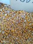 Продам кукуруза 180тг/кг