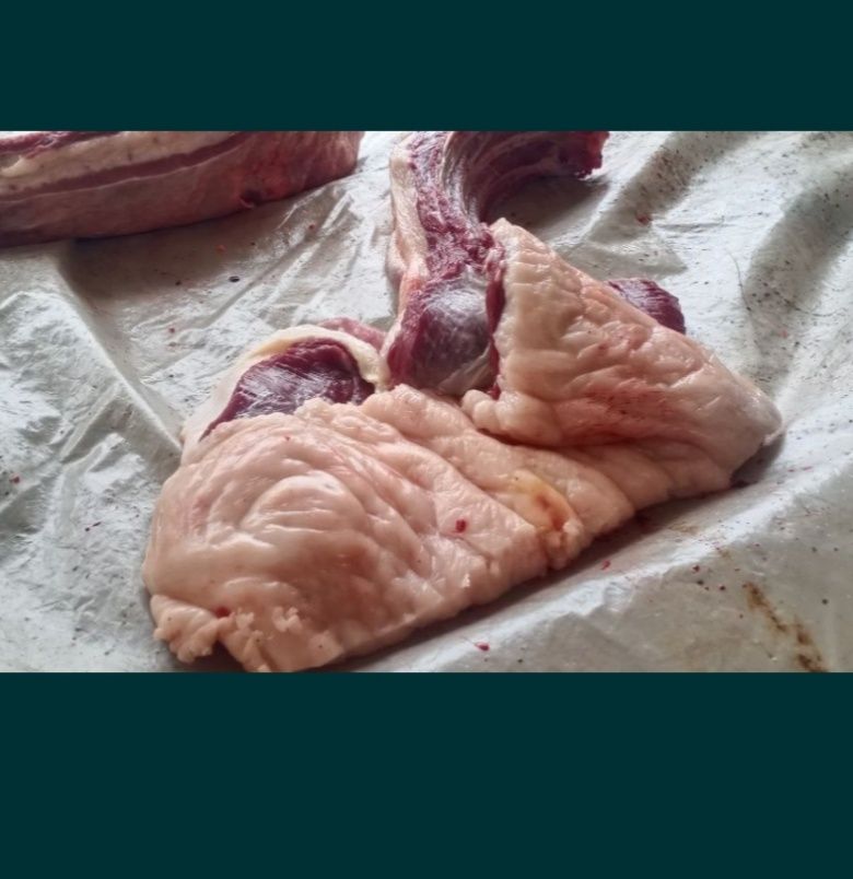 Соғым жылқы еті күнделікті жас жылқылар сойылады конина мясо