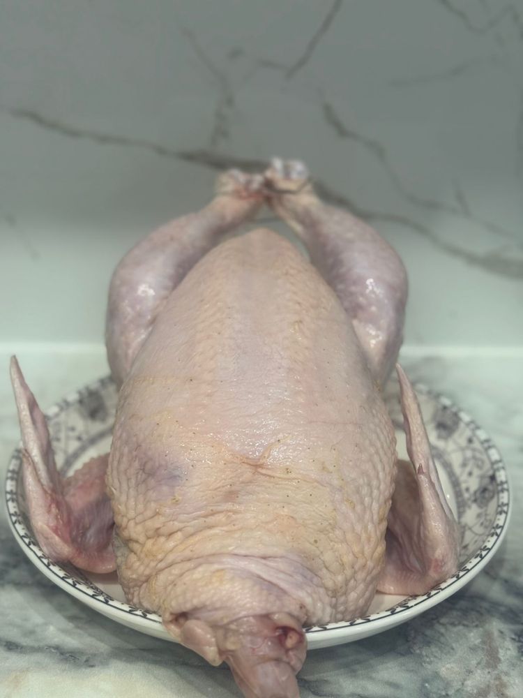 Куры бройлеры мясо